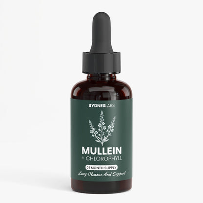 Bydneslabs™ Mullein + Chlorophyll