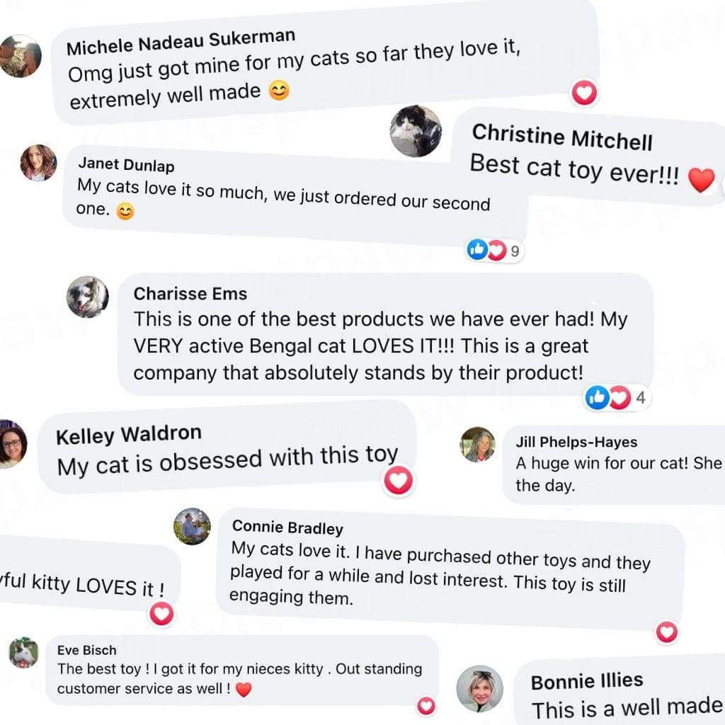 Automatic Flying Bird Simulation Toy for Cats