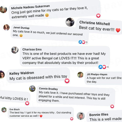 Automatic Flying Bird Simulation Toy for Cats